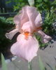Fotogr.0021