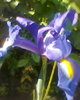 Fotogr.0023