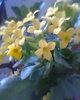 Fotogr.0048