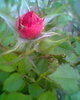 Fotogr.0067