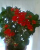 Fotogr.0071