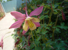 P1070033