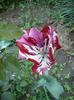 P1070057