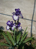 P1070059