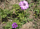 P1070068