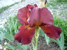 039