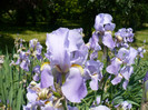 P1340013