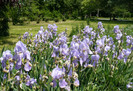 P1340018