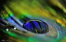 Just a drop