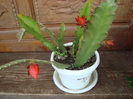 DSC06380