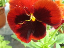 DSC06395