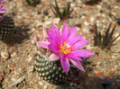 DSCF7776