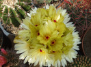 DSCF7784