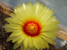 DSCF7789