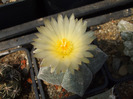 DSCF7791
