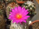 DSCF7810
