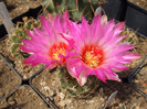 DSCF7859
