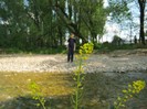 22 mai 2011 014
