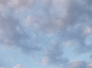 DSCN0271