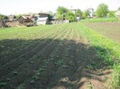22 mai 2011 054