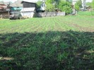 22 mai 2011 057