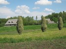 22 mai 2011 061
