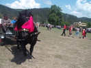 DSCF1504