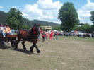 DSCF1508