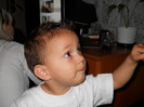 Picture (18)