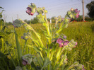 DSCN1053