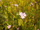 DSCN1054