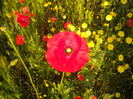 DSCN1051