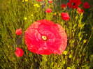 DSCN1052