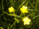 DSCN1057