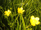DSCN1058