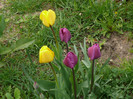 FLORI 21,04,2011 017