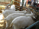 DSCN1255