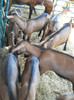 DSCN1256