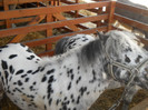 DSCN1269