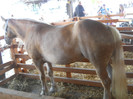 DSCN1275