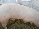 DSCN1278