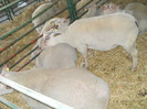 DSCN1304