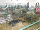 DSCN1315