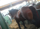 DSCN1326