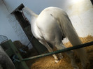 DSCN1336