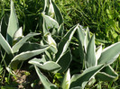 P1040026
