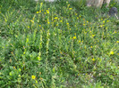 P1040039