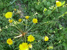 P1040041