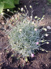 P210511_08.10_[01]