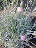 P210511_08.10_[02]